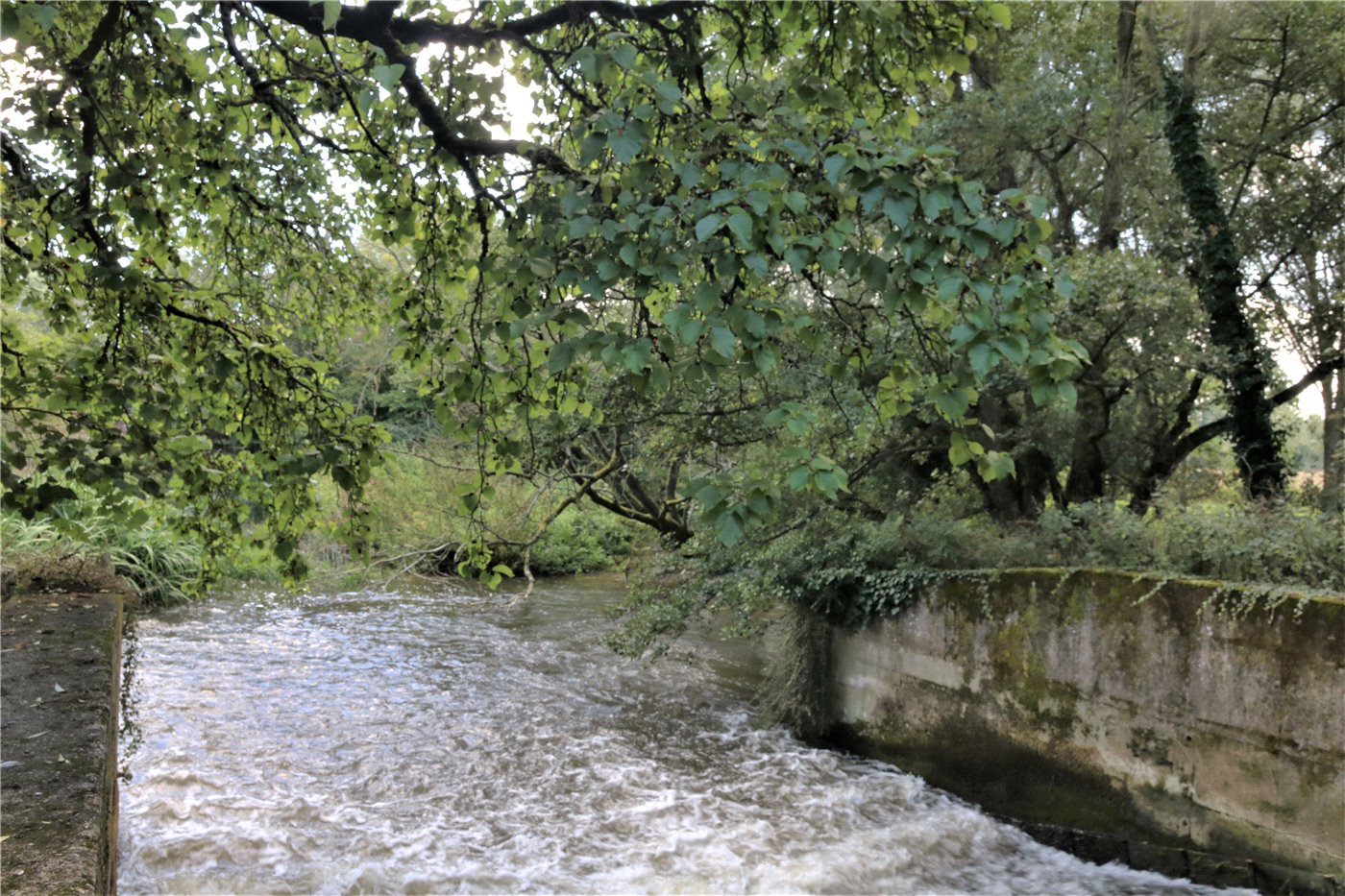 Picture No. 16